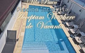 Vila Paun